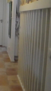 Jen Is Walking Around Naked in the Hallway