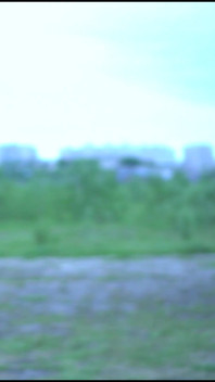 A Beauty with a Tattoo Shows Her Tits