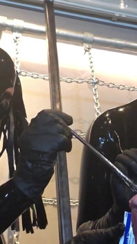 Sondieren unseres mumifizierten gimp