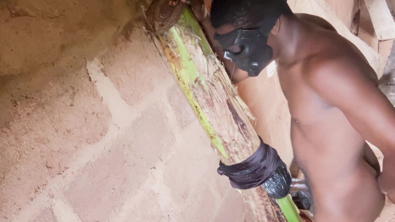 Bangcum8: 我非常活跃地射精