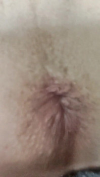 Nl Slut