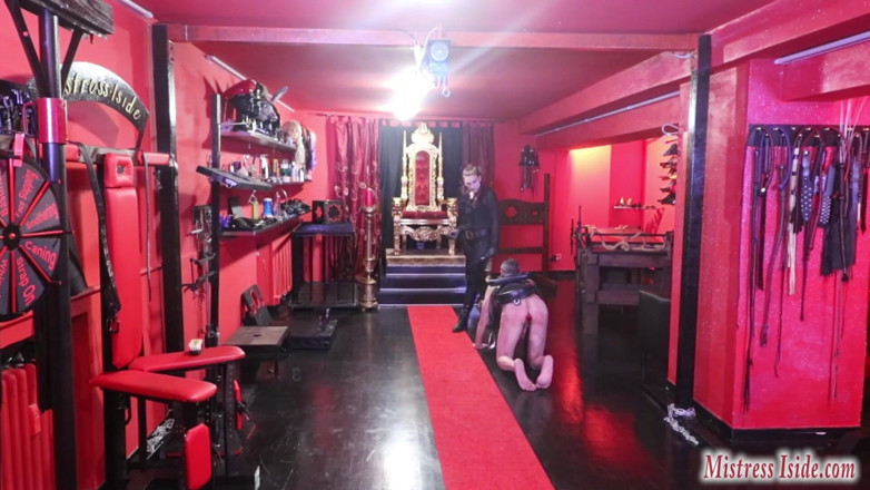 Mistress Iside: Mistress Iside - triển lãm cưỡi ngựa