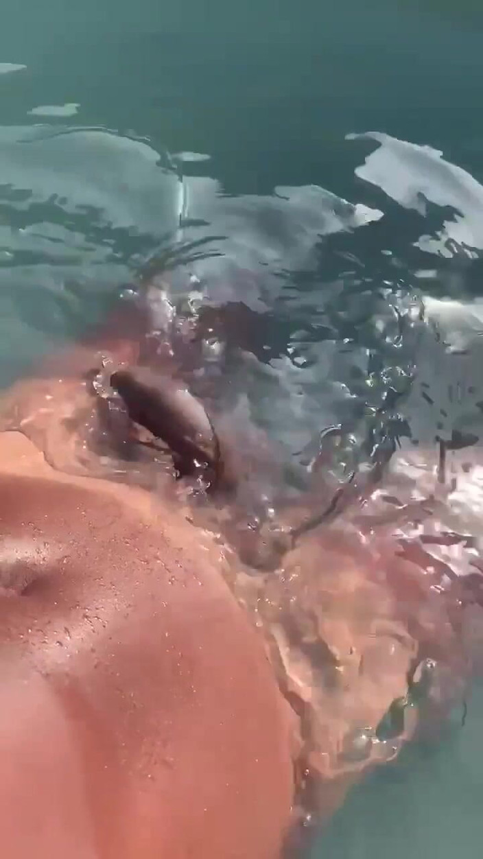 Vida Noite: Слушаю звук Gooning в бассейне и