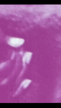 Retro-porno, retro-erotik-theater - flesh esser 3