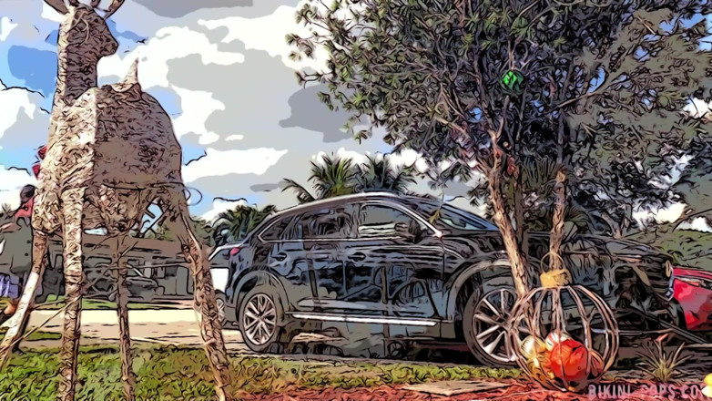 BIKINI-POPS: Magna Cum Laude animat film comixxx