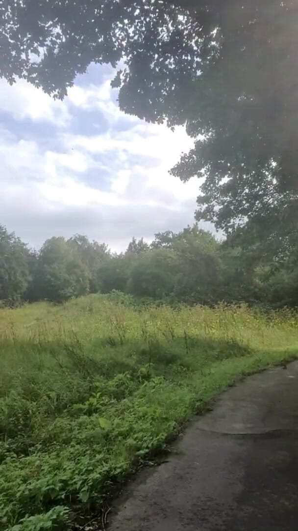 Slutboyben: Slutboyben cam4, croisière sexy, voyeur, exhibitionniste