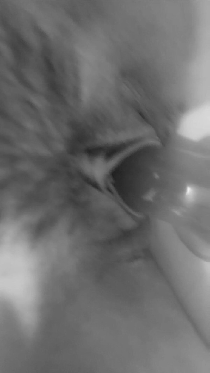 LilMunchkin_66: Cavalgando um vibrador com a ajuda dos meus pés xo...