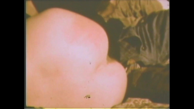 Vintage Usa: The Dog in Heat