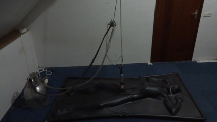 NL Milking: Memerah susu vacbed
