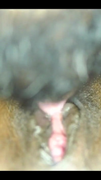Couple desi, gros plan, léchage de chatte