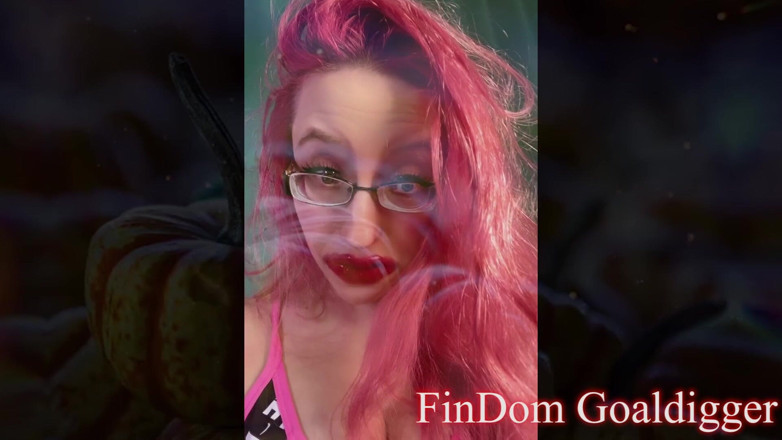 FinDom Goaldigger: Sexy slut Girl Transformation in LA