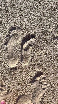 16 feet boyutunu plajda kum baskılarıyla karşılaştırıyor