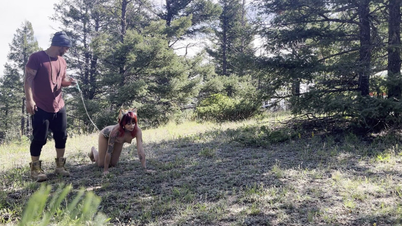 MYA Pleasure: Ormanda bir tilki