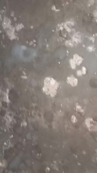 Indian Boy Black Dick Masturbate and Cum