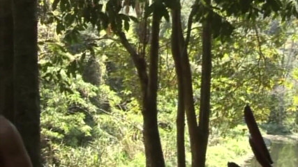Latino Fucker: Latino fuckers in exhib forest
