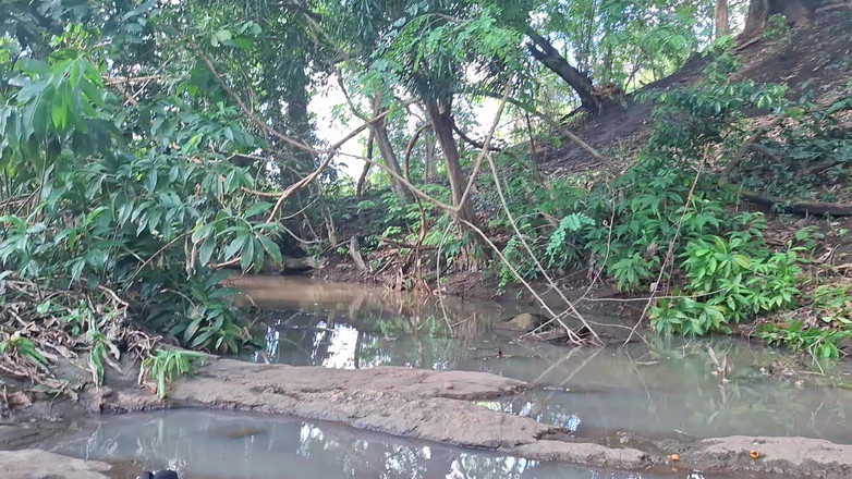 BMCs: Di surga Purro kontak dengan alam basah yang diinginkan