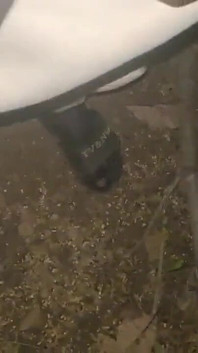 A Hot Big Black Cock Mastubating