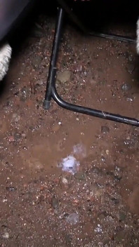 Teen Chav děvka je venku, aby se vzbouřila, když saje několik ptáků starších chlapů v misi Dirty Dogging