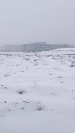 Snowy Exposure: Nude Flex & Frigid Cum Blast in Public