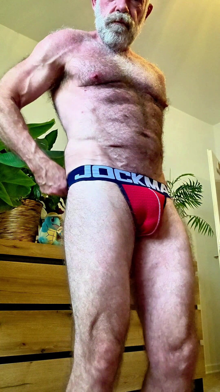JackvanDean: Hairy Bear Tries Jockstrap