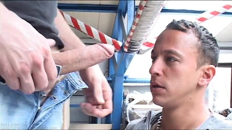 Young Bastards: ゲイの若者は縛られ、毛むくじゃらにされた