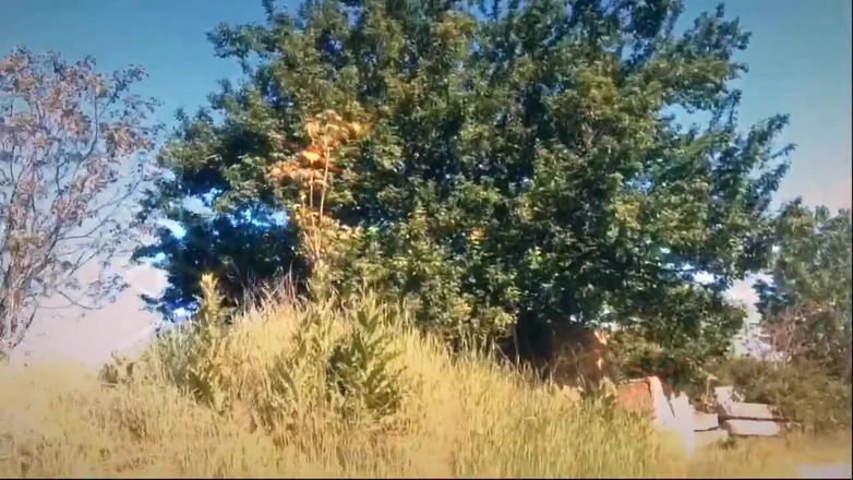 The queen of Satan: I Show My Boobs Again in Nature