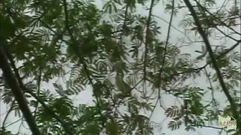 Magic Asian Pussy: Quando la attraente bionda asiatica inizia a desiderare spinte anali...