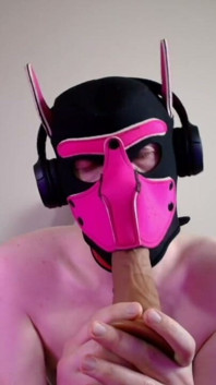 This Could Be Your Cock in Hound's Mouth