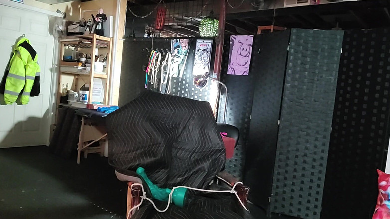 City hog: Едді, будучи свинею