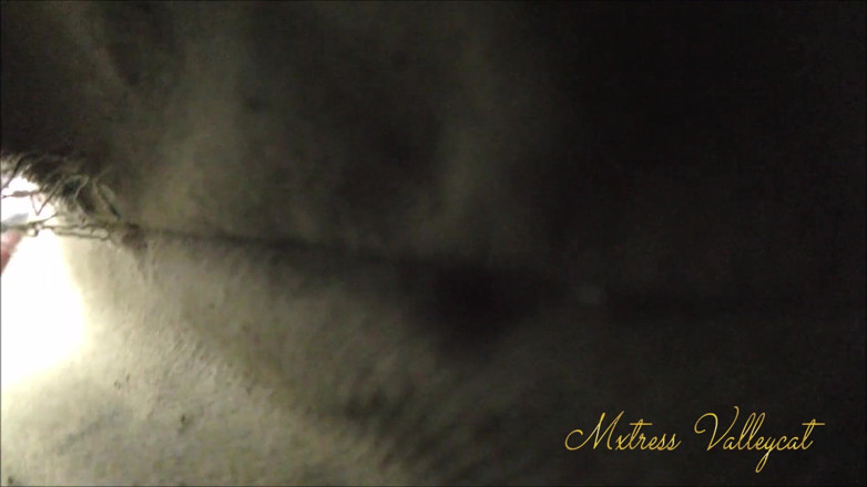 Mxtress Valleycat: ย่อขนาดเธอแล้วพาไปช้อปปิ้งด้วย