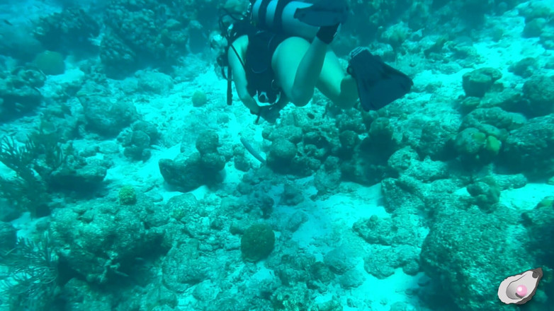 Mistress Pink Pearl: ボネールでの一人の時間