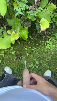 Golden Stream: Peeing in Paradise