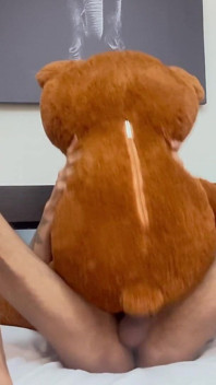 I Put the Teddy Bear on All Fours and Came on Top of It