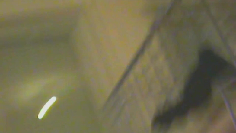 No limit cbt slave: 檻の中の奴隷がアナルで使われる