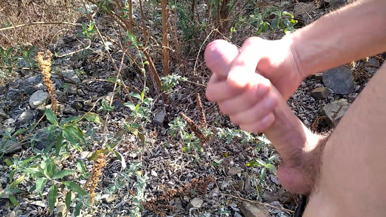 Elvissc: A Good Cumshot on the Mount of Big Fat Dick,...