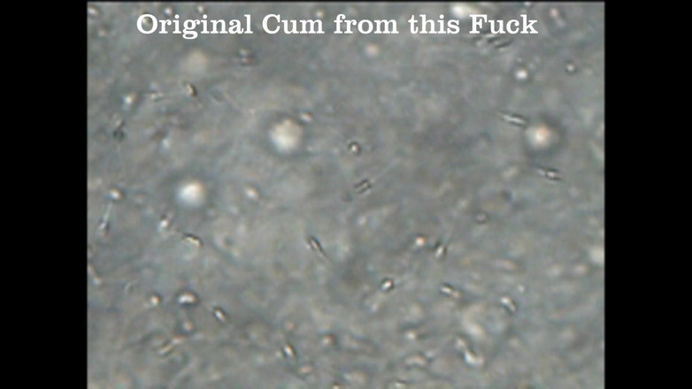 Mark Hannes: Плоть трахається, мастурбація і сперма під мікроскопом