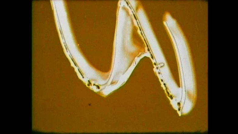 The Unforgettable: 女同性恋者互相吸吮