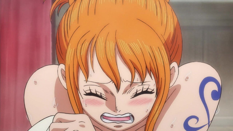 Prznai: 2 tahun kemudian dan 2 tahun yang lalu (nami) one piece
