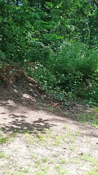 Old Sexy Hitchhiker Whore From Street Fucked in Forest with and Then Without a Condom