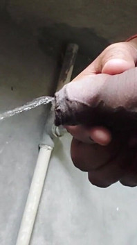 Desi Indian Big Black Cock