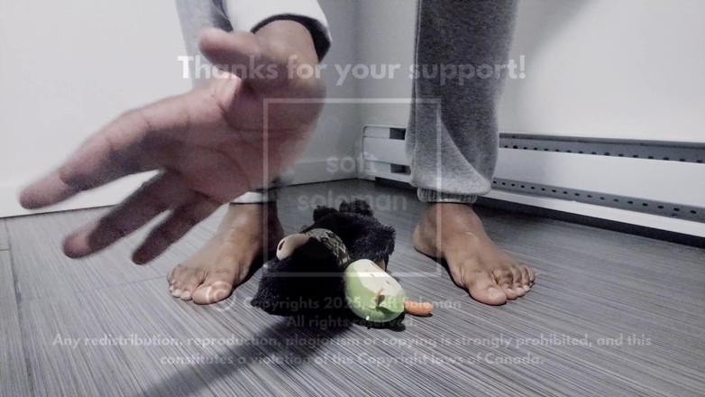 Soft Soleman: Io gioco con i plushes, Barefoot (2025)