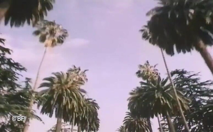 Vintage Vixens: Rekaman seks jadul Beverly hills - subtitle belanda