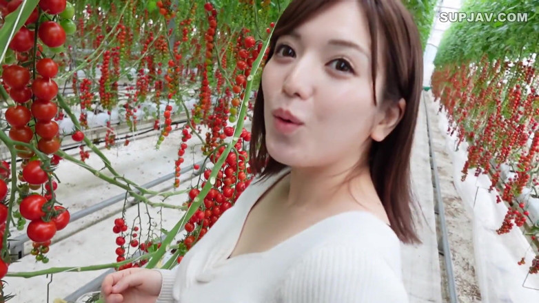 Studio Modern Shunga - JAV: Ángel asiático 7402