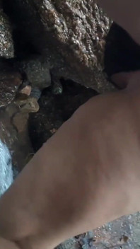 Katia Heffner en el bosque