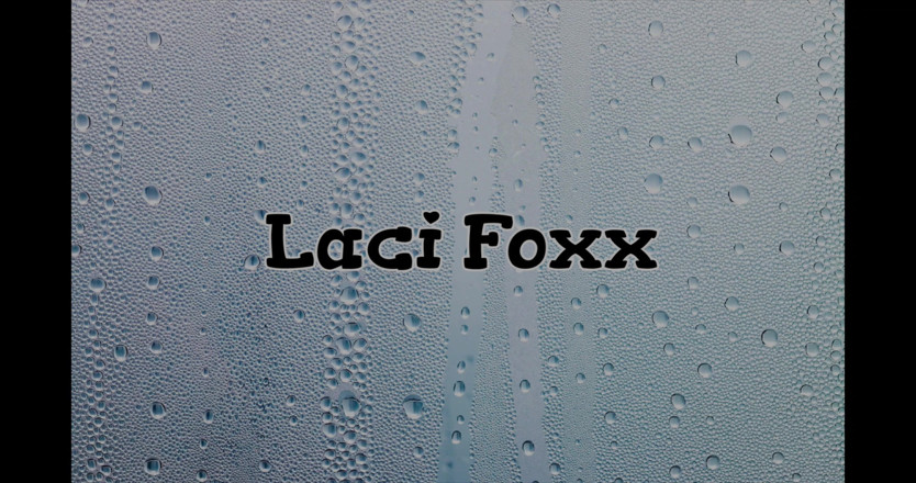 Laci Foxx: Gonzo s Jay Robbem