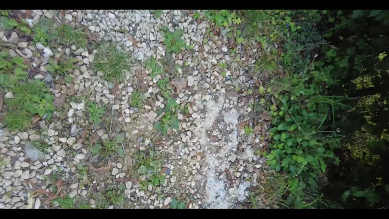 English Psycho: 火辣金发变性女孩lily adick在树林里被英国心理操