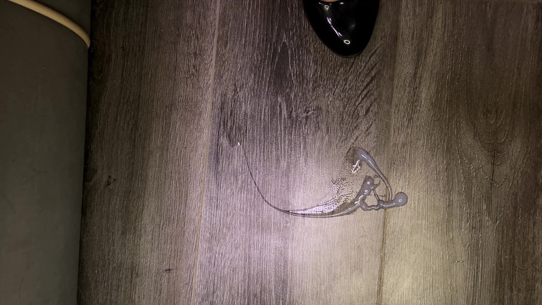 Eva Deva: JOI / 굴욕 / 수감자와 경찰관의 더러운 게임