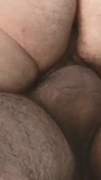 Chatte poilue baisée