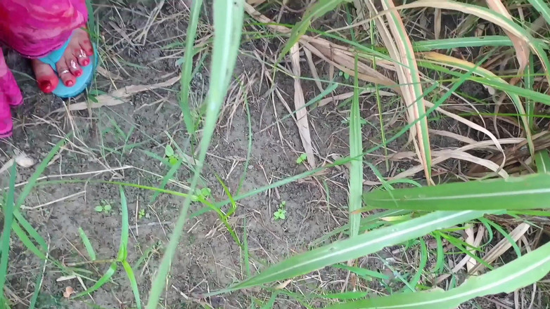 Lalita Singh: Desi vesnická Bhabhi šuká v poli s milencem, venkovní video