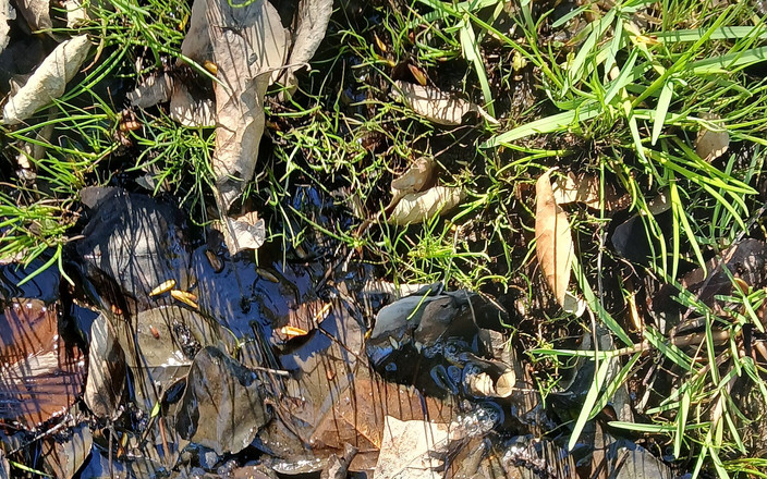 Latex Boy: Divertimento nel fango in camo wellies di gomma